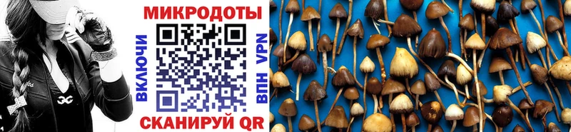 Галлюциногенные грибы Magic Shrooms  Зеленоградск 