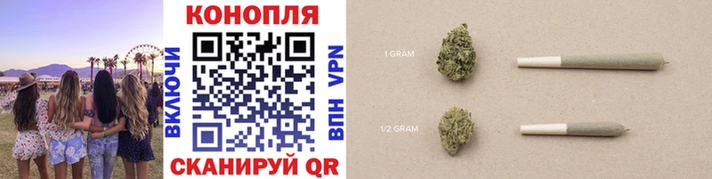 Конопля Bruce Banner  Зеленоградск 